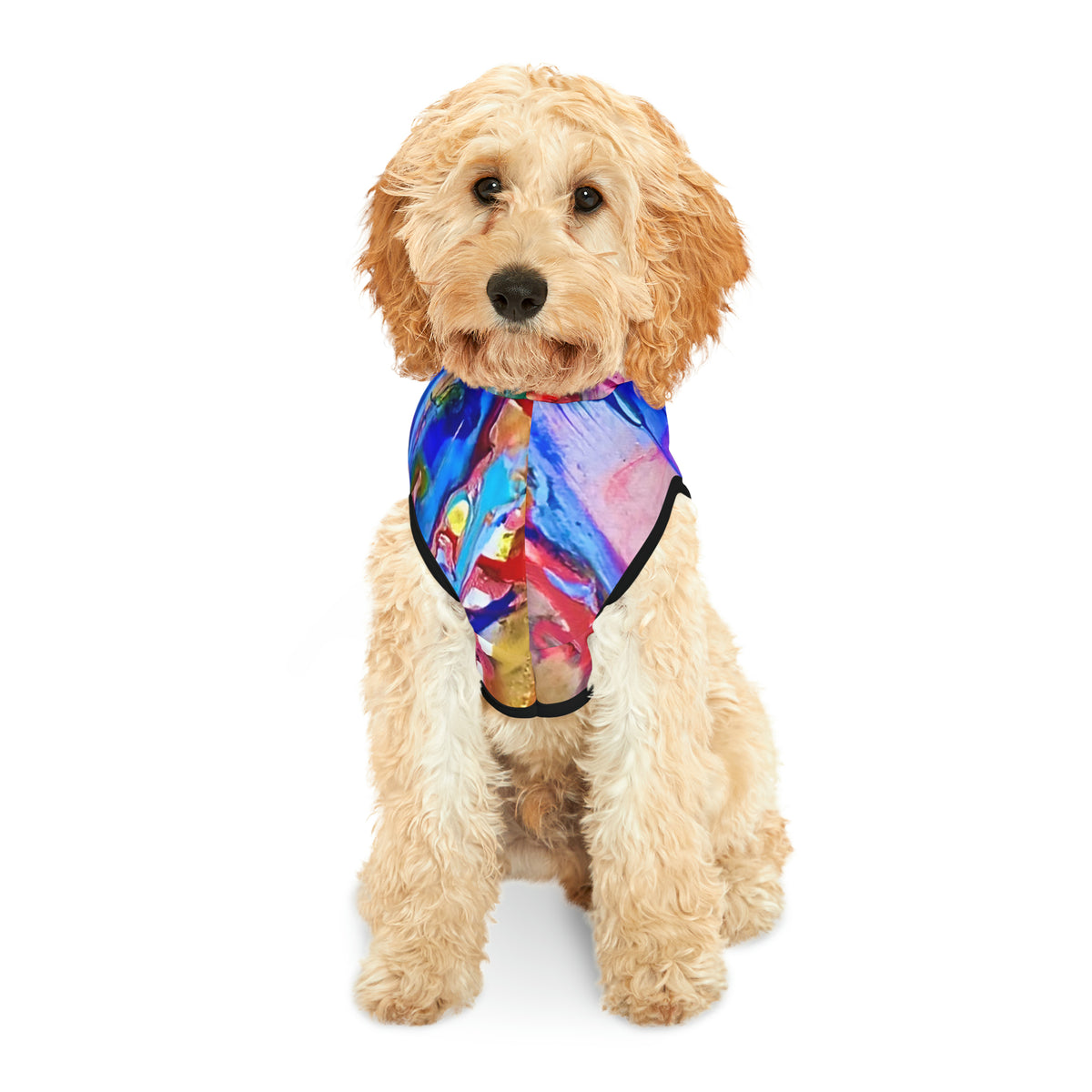 Abstract Waterfall Pet Hoodie