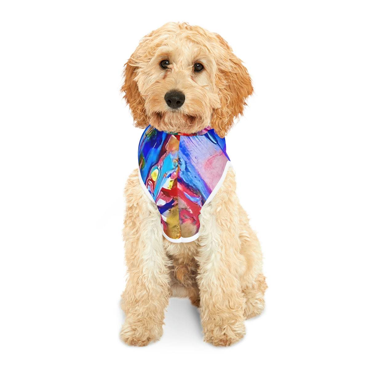 Abstract Waterfall Pet Hoodie